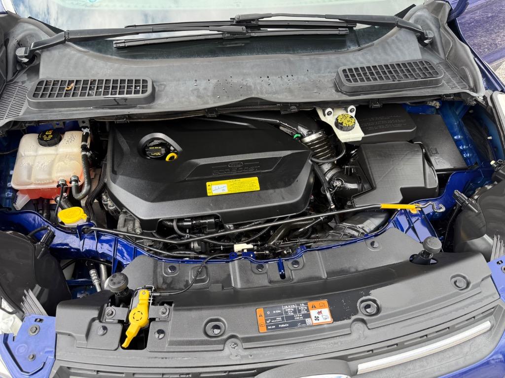 2014 Ford Escape SE - Photo 11